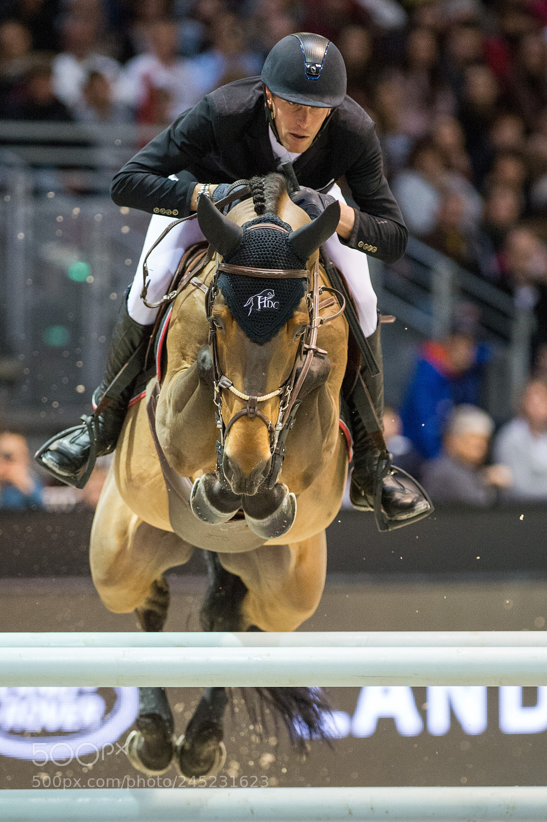 Nikon D4 sample photo. Bordeaux, france, 4.2.2018, sport photography