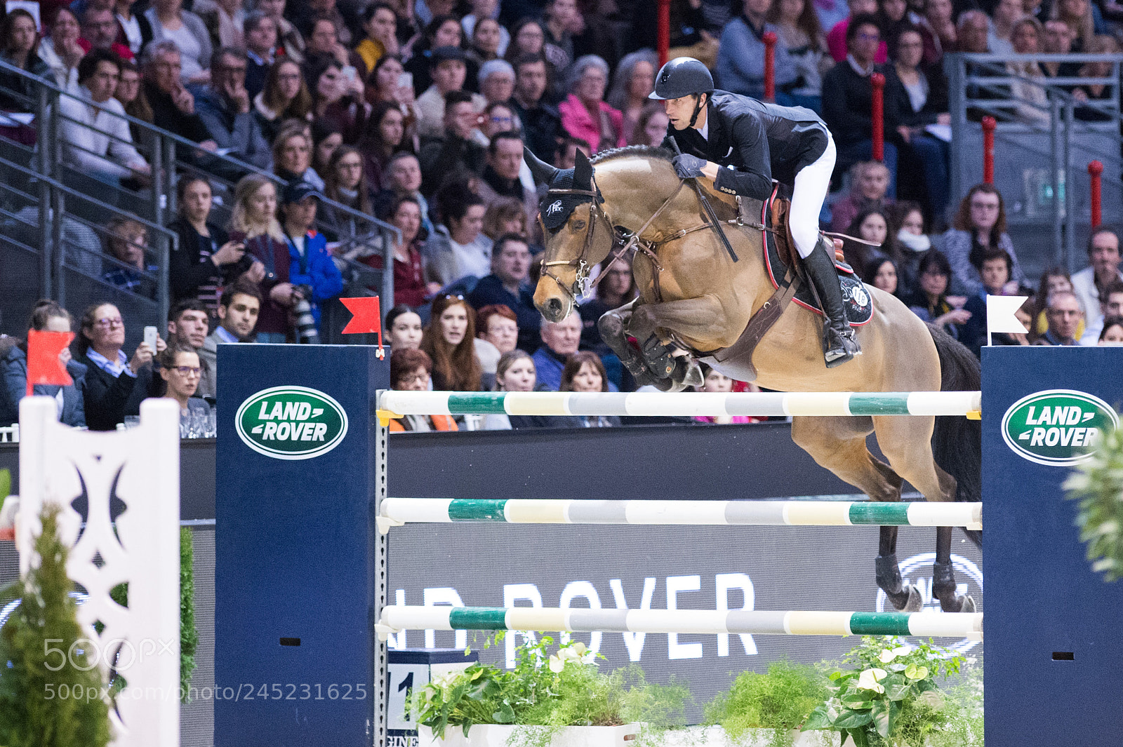 Nikon D4 sample photo. Bordeaux, france, 4.2.2018, sport photography