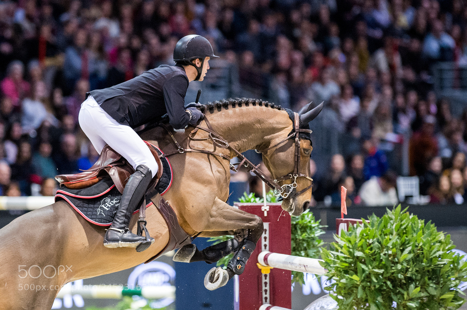 Nikon D4 sample photo. Bordeaux, france, 4.2.2018, sport photography