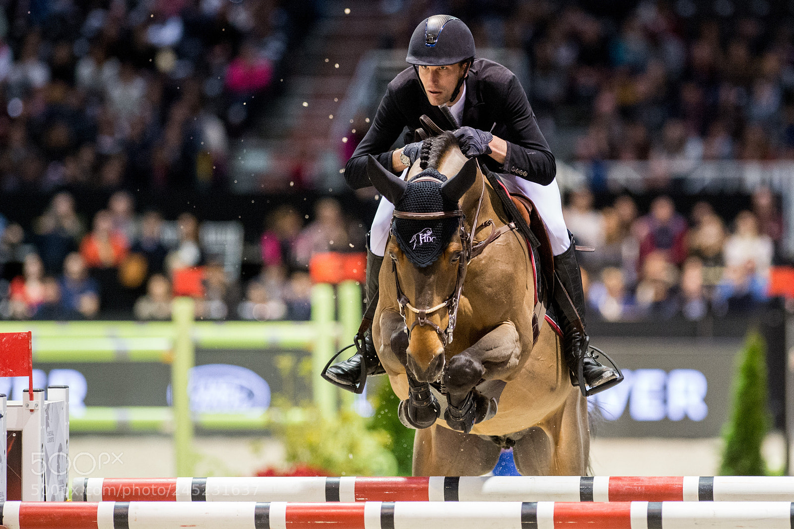 Nikon D4 sample photo. Bordeaux, france, 4.2.2018, sport photography