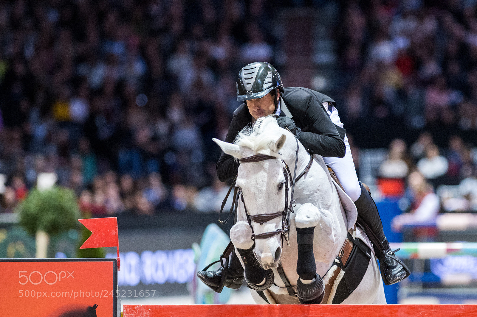 Nikon D4 sample photo. Bordeaux, france, 4.2.2018, sport photography