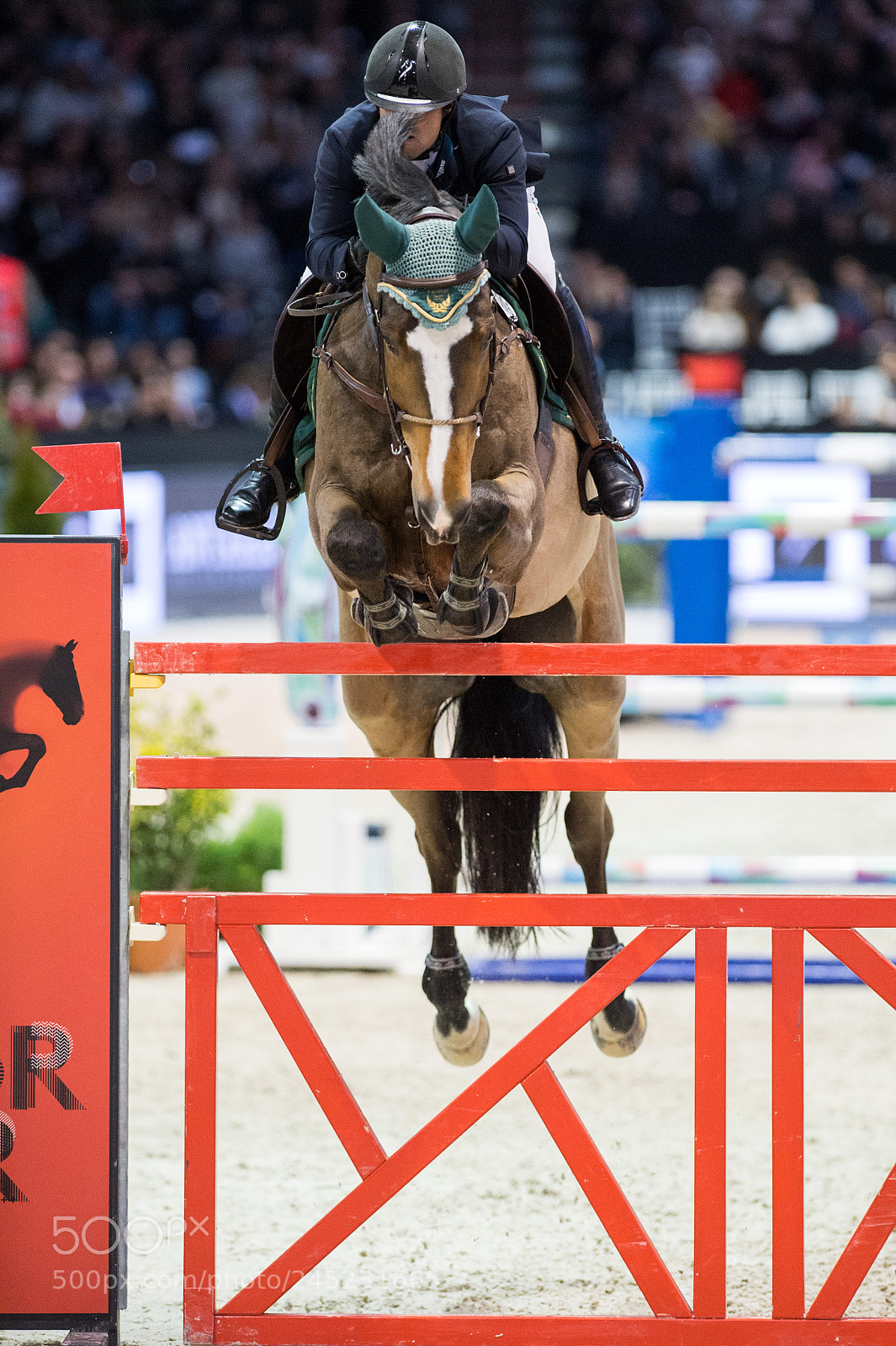 Nikon D4 sample photo. Bordeaux, france, 4.2.2018, sport photography