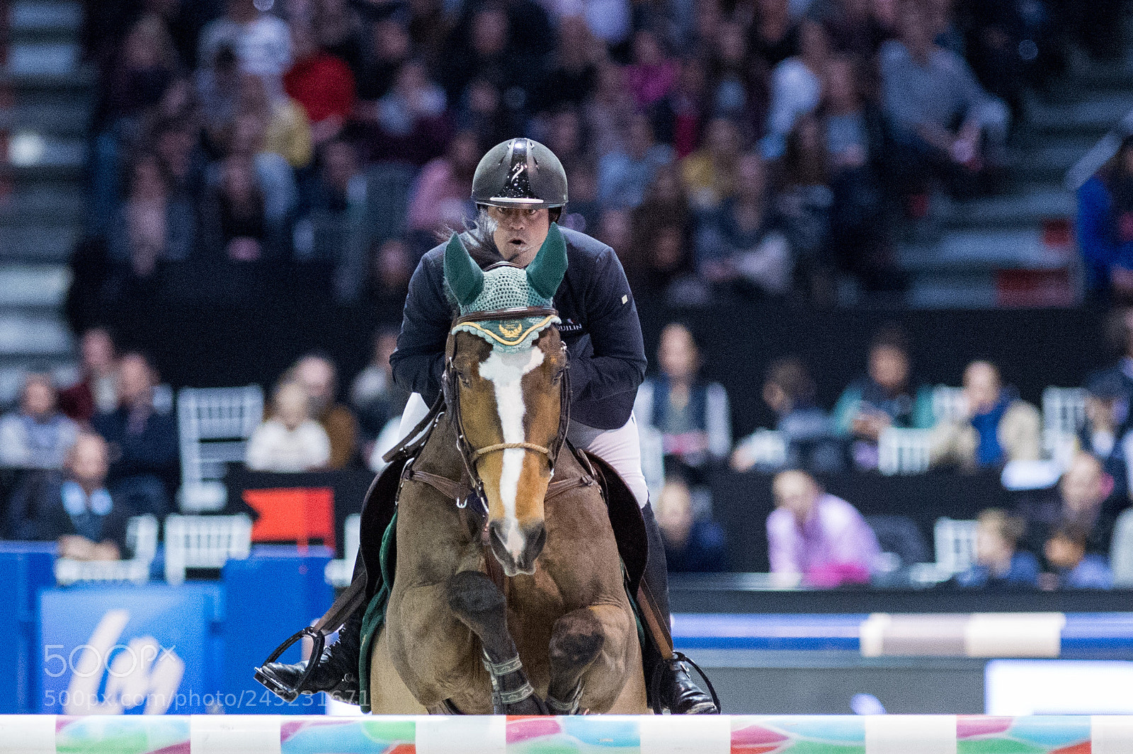 Nikon D4 sample photo. Bordeaux, france, 4.2.2018, sport photography