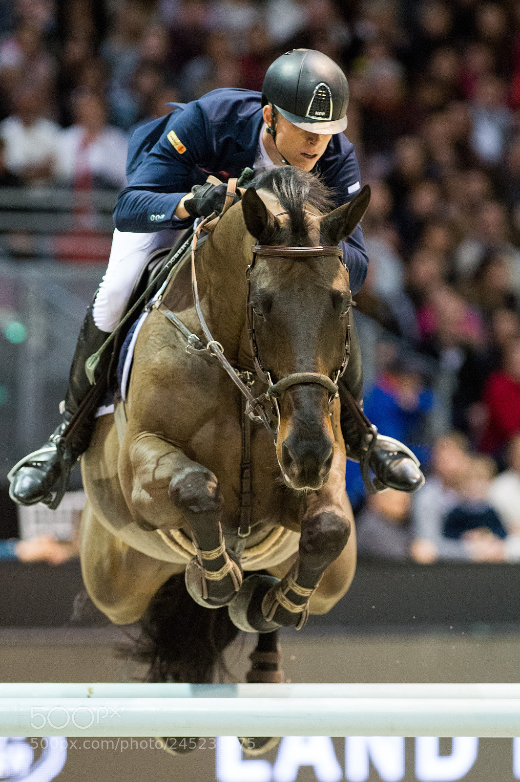 Nikon D4 sample photo. Bordeaux, france, 4.2.2018, sport photography