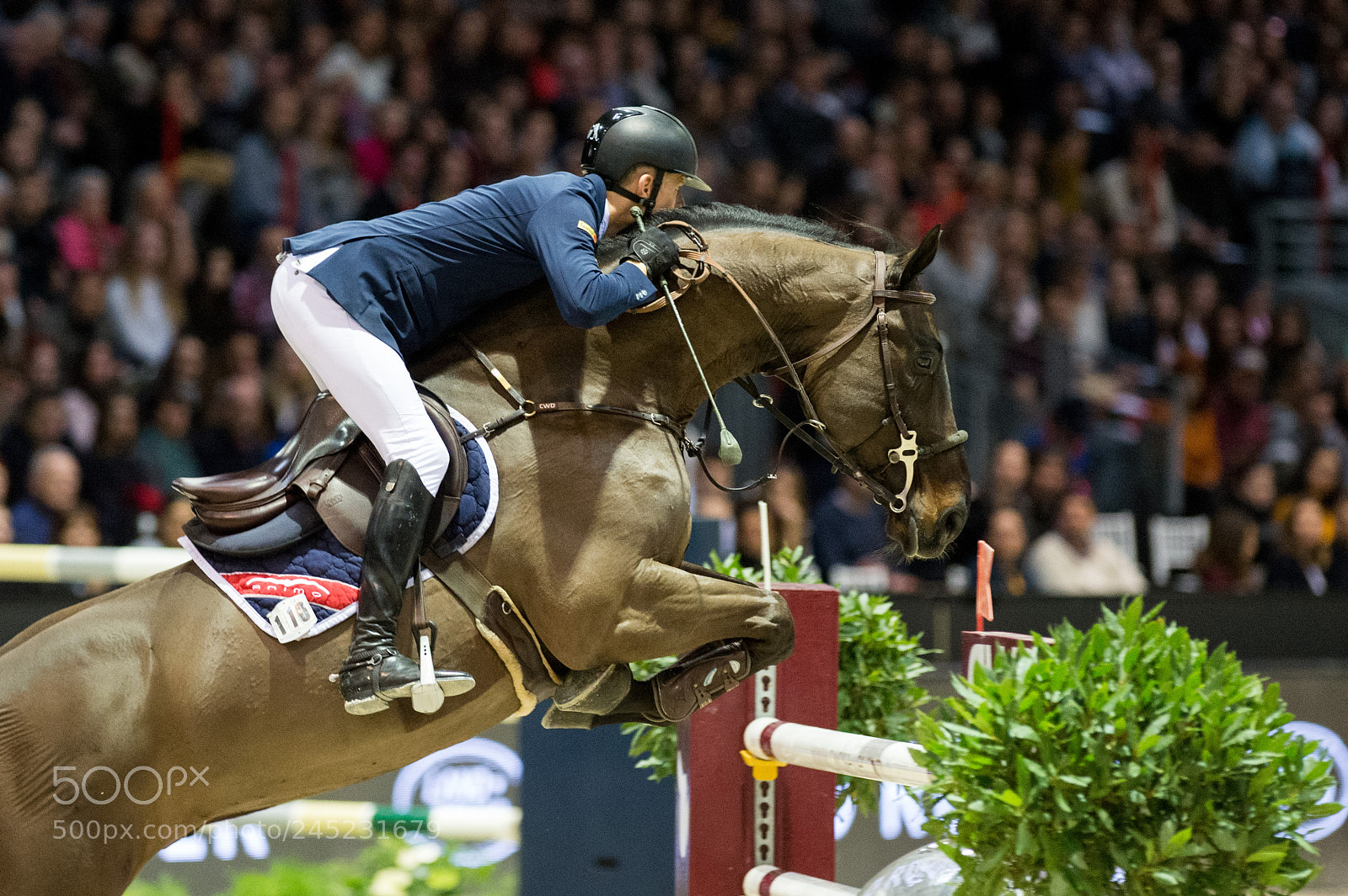 Nikon D4 sample photo. Bordeaux, france, 4.2.2018, sport photography