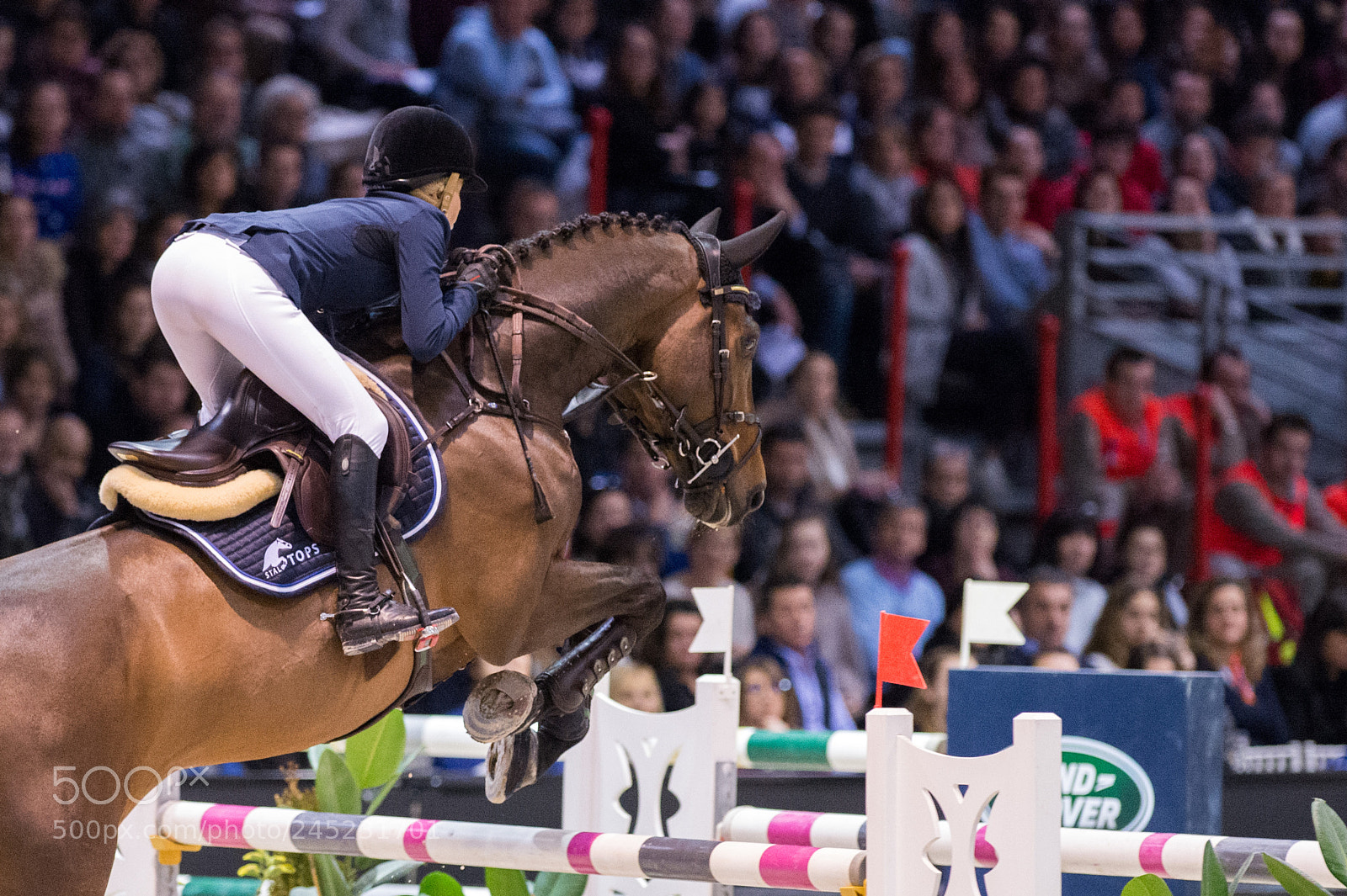 Nikon D4 sample photo. Bordeaux, france, 4.2.2018, sport photography