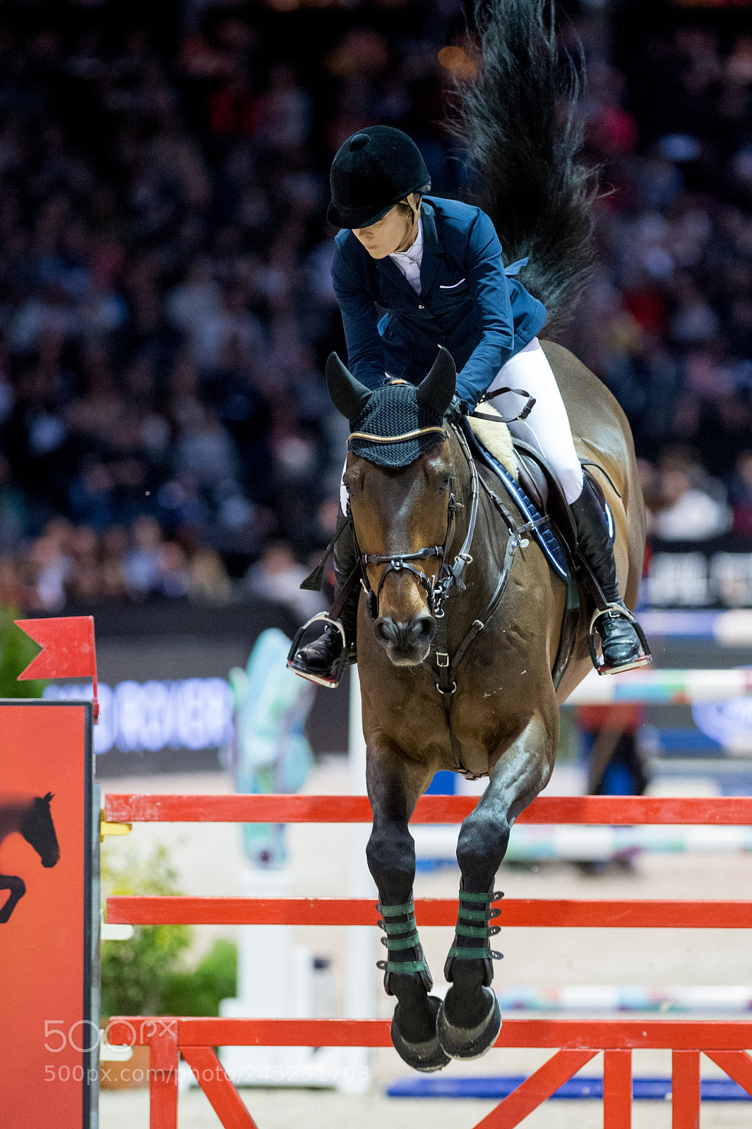 Nikon D4 sample photo. Bordeaux, france, 4.2.2018, sport photography