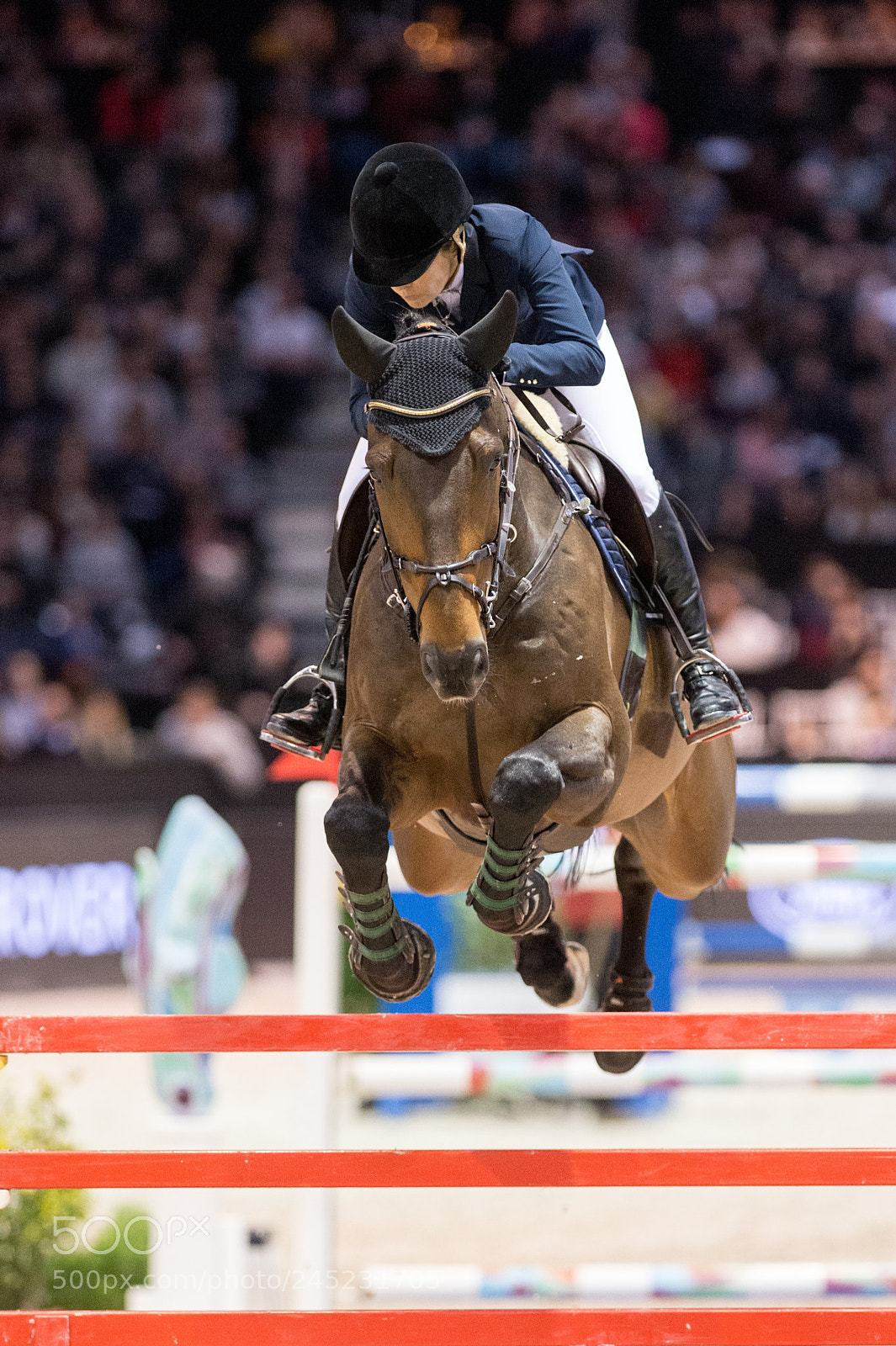 Nikon D4 sample photo. Bordeaux, france, 4.2.2018, sport photography