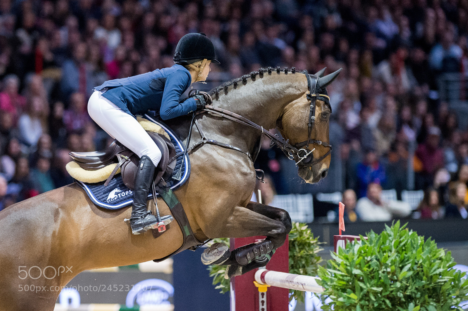 Nikon D4 sample photo. Bordeaux, france, 4.2.2018, sport photography