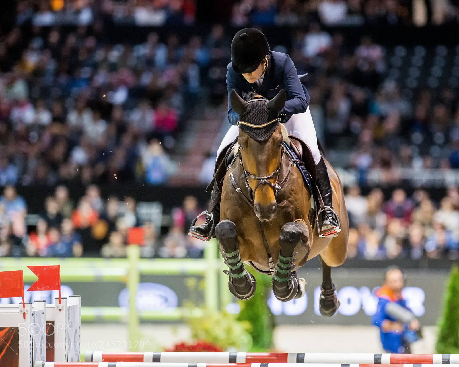 Nikon D4 sample photo. Bordeaux, france, 4.2.2018, sport photography