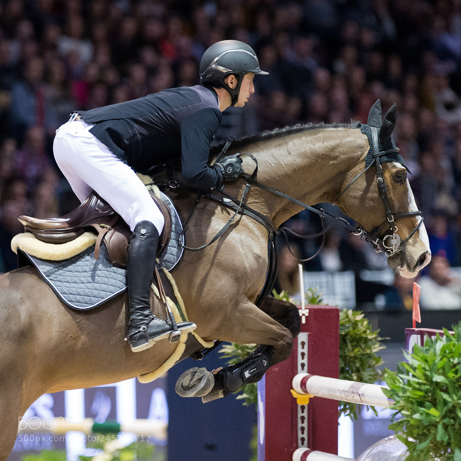 Nikon D4 sample photo. Bordeaux, france, 4.2.2018, sport photography