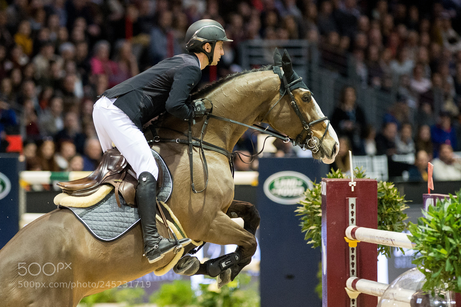 Nikon D4 sample photo. Bordeaux, france, 4.2.2018, sport photography
