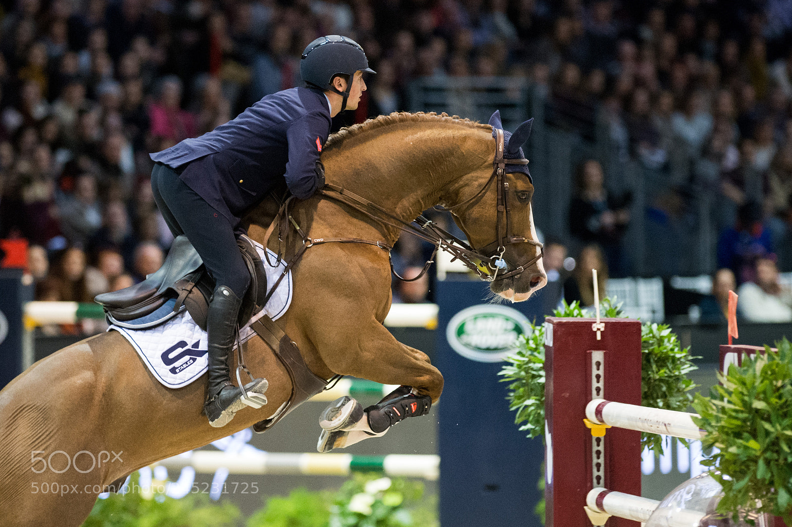Nikon D4 sample photo. Bordeaux, france, 4.2.2018, sport photography