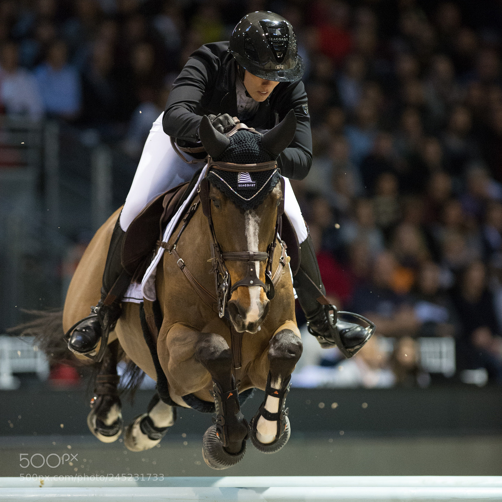 Nikon D4 sample photo. Bordeaux, france, 4.2.2018, sport photography