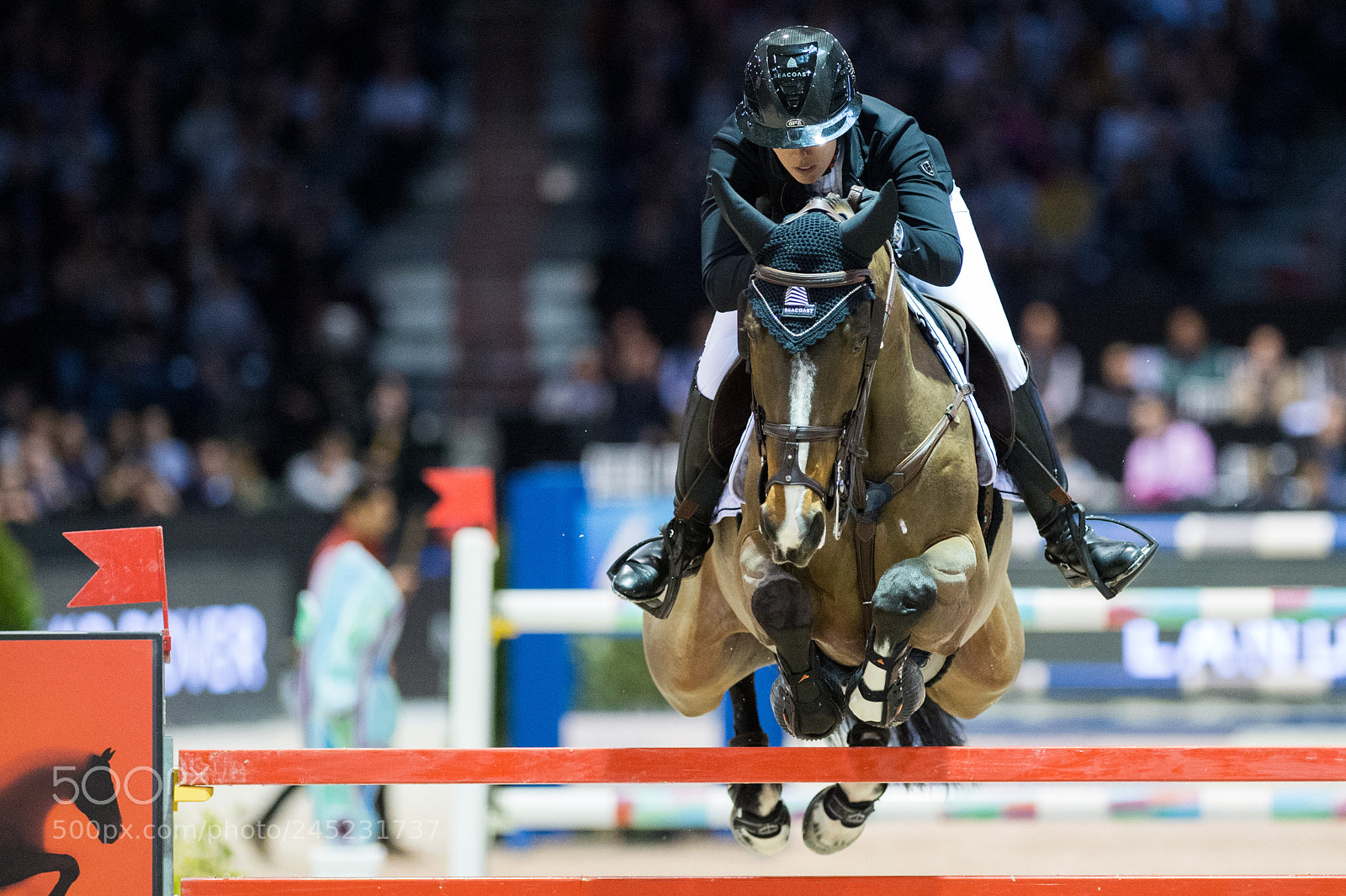 Nikon D4 sample photo. Bordeaux, france, 4.2.2018, sport photography