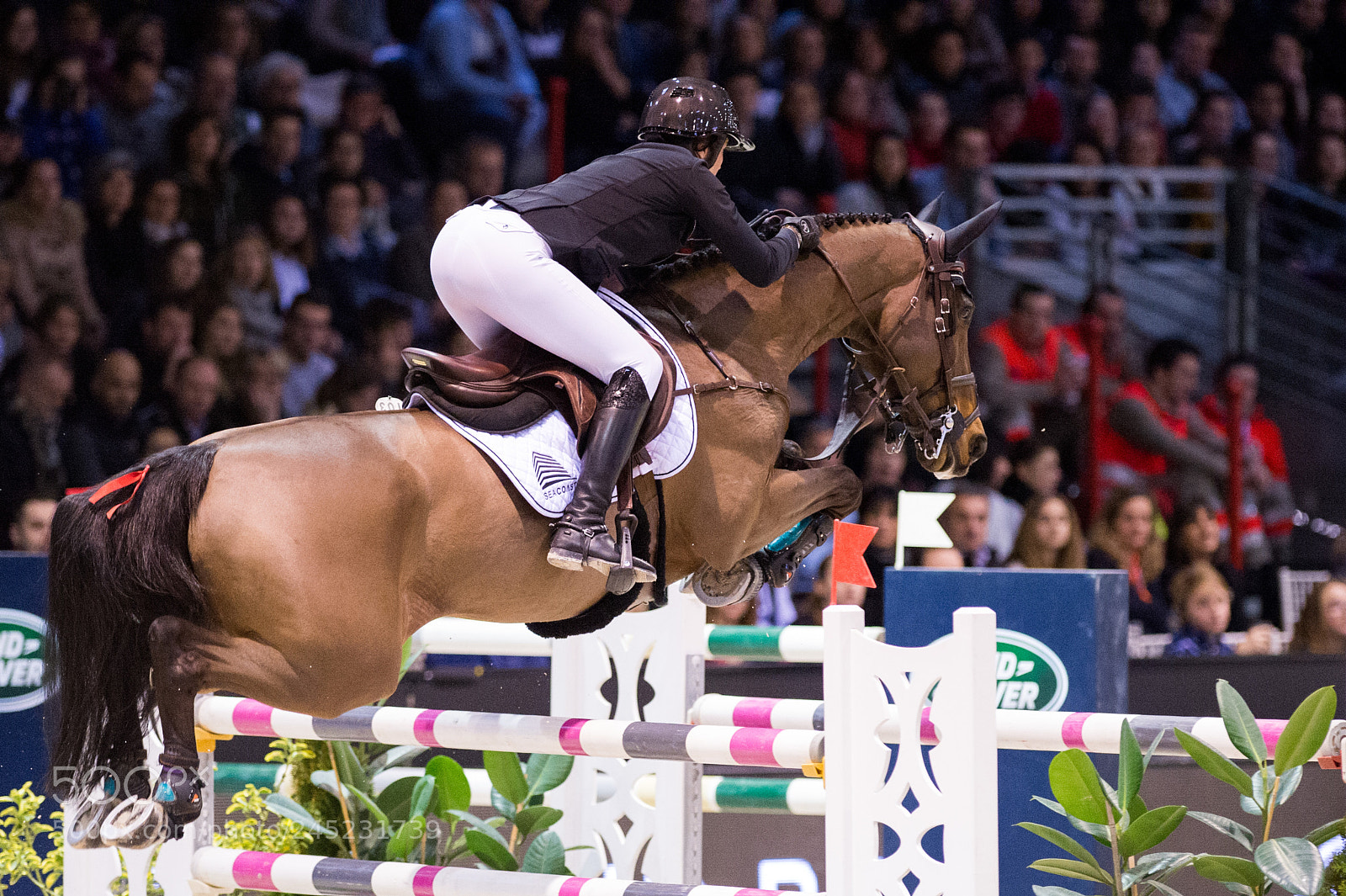 Nikon D4 sample photo. Bordeaux, france, 4.2.2018, sport photography