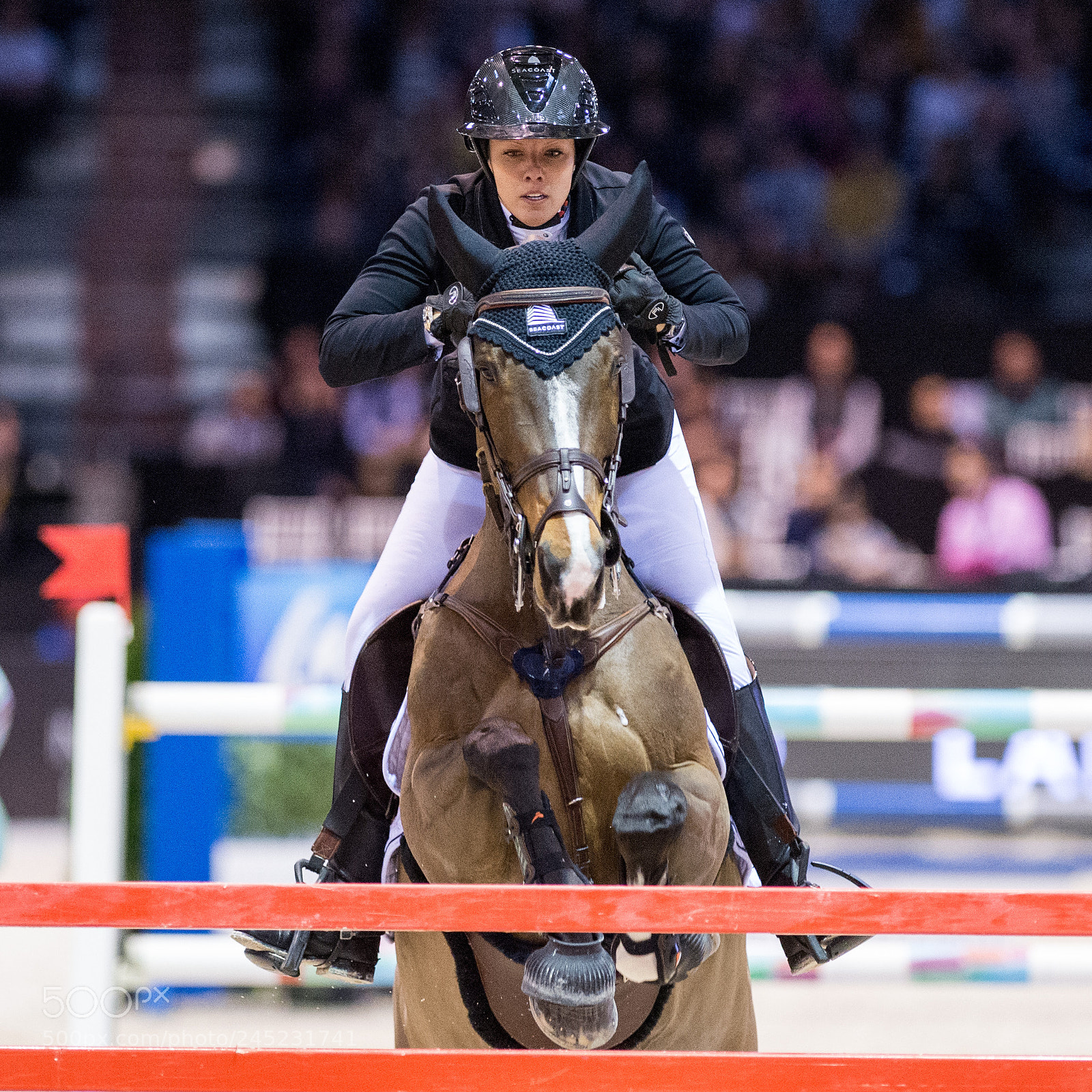 Nikon D4 sample photo. Bordeaux, france, 4.2.2018, sport photography