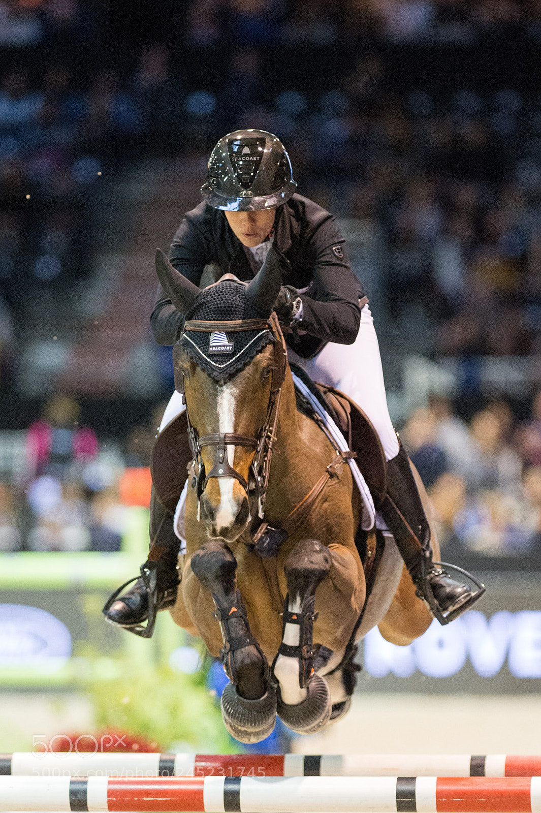Nikon D4 sample photo. Bordeaux, france, 4.2.2018, sport photography