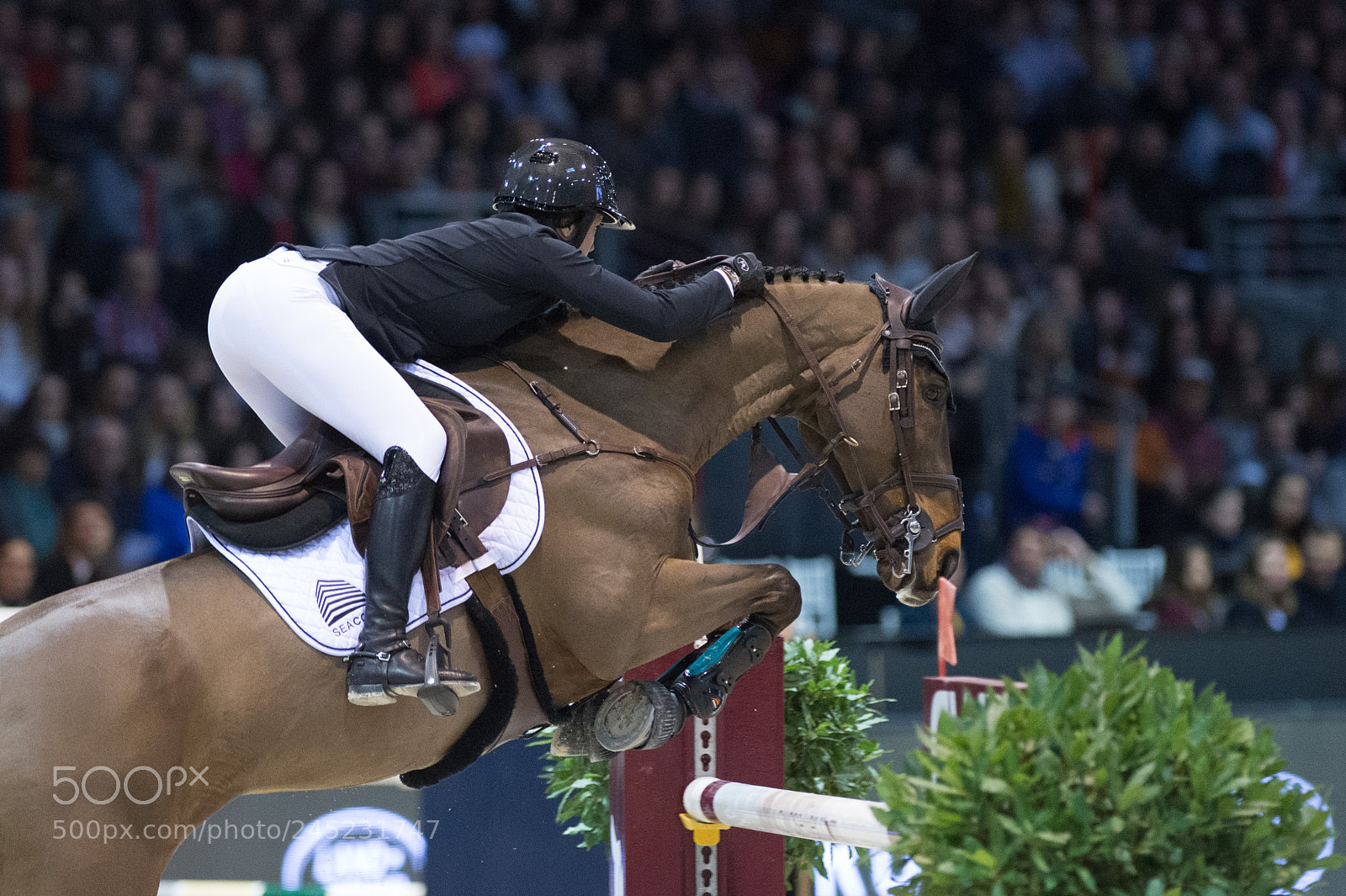 Nikon D4 sample photo. Bordeaux, france, 4.2.2018, sport photography