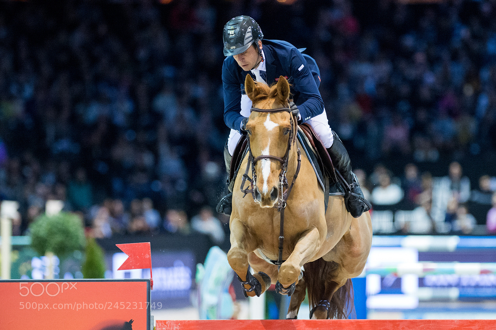 Nikon D4 sample photo. Bordeaux, france, 4.2.2018, sport photography