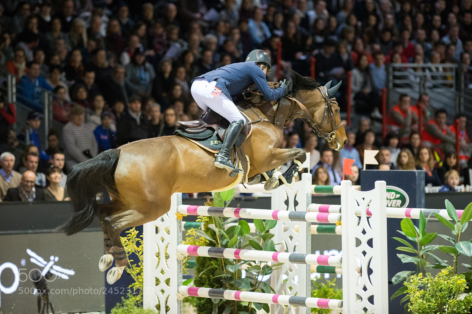 Nikon D4 sample photo. Bordeaux, france, 4.2.2018, sport photography
