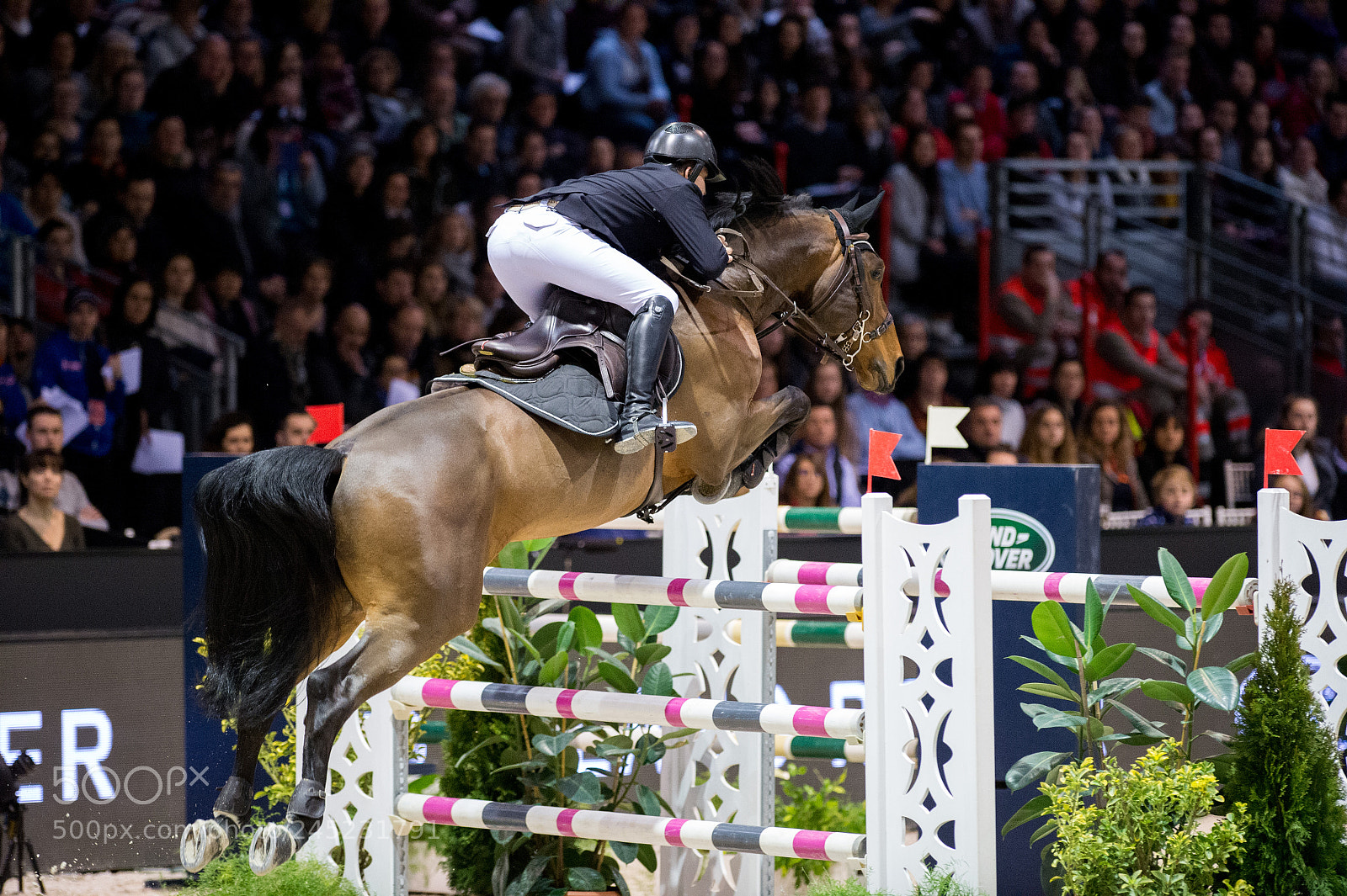 Nikon D4 sample photo. Bordeaux, france, 4.2.2018, sport photography