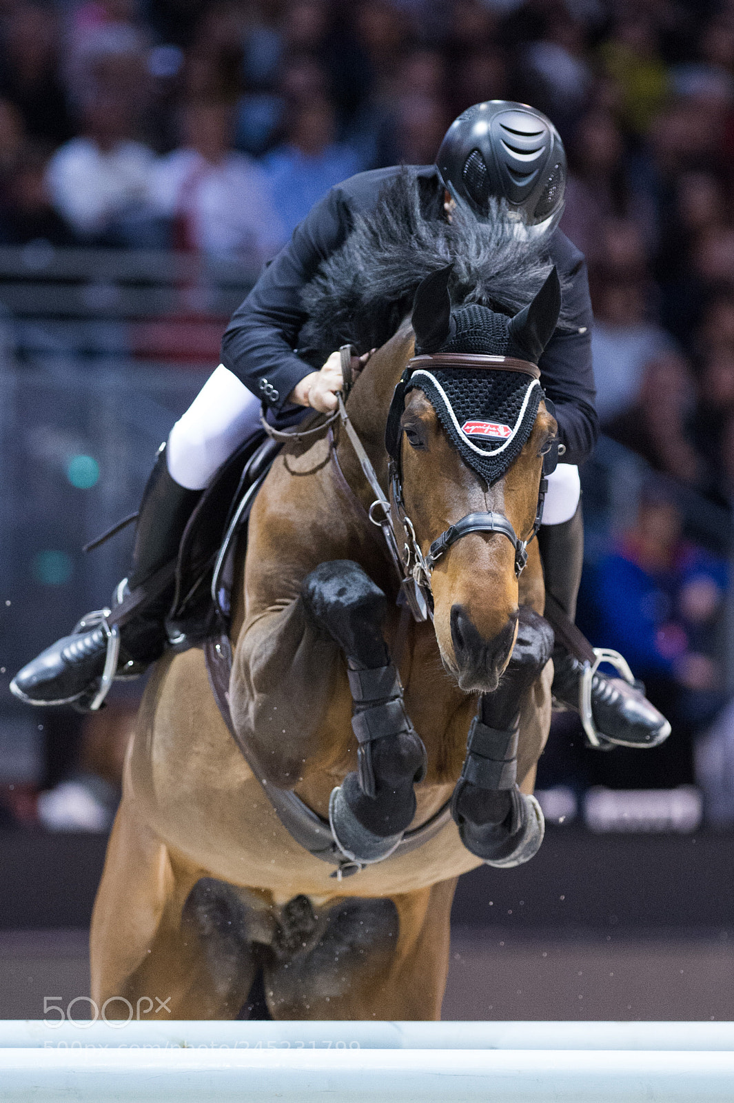 Nikon D4 sample photo. Bordeaux, france, 4.2.2018, sport photography