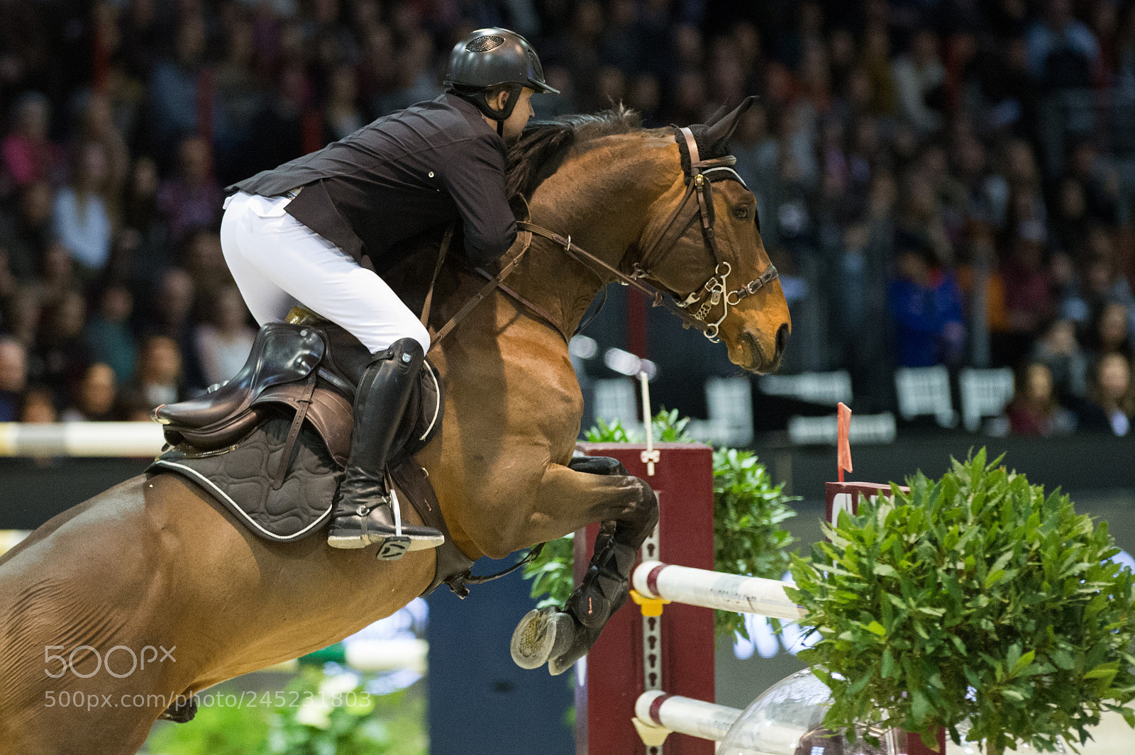 Nikon D4 sample photo. Bordeaux, france, 4.2.2018, sport photography