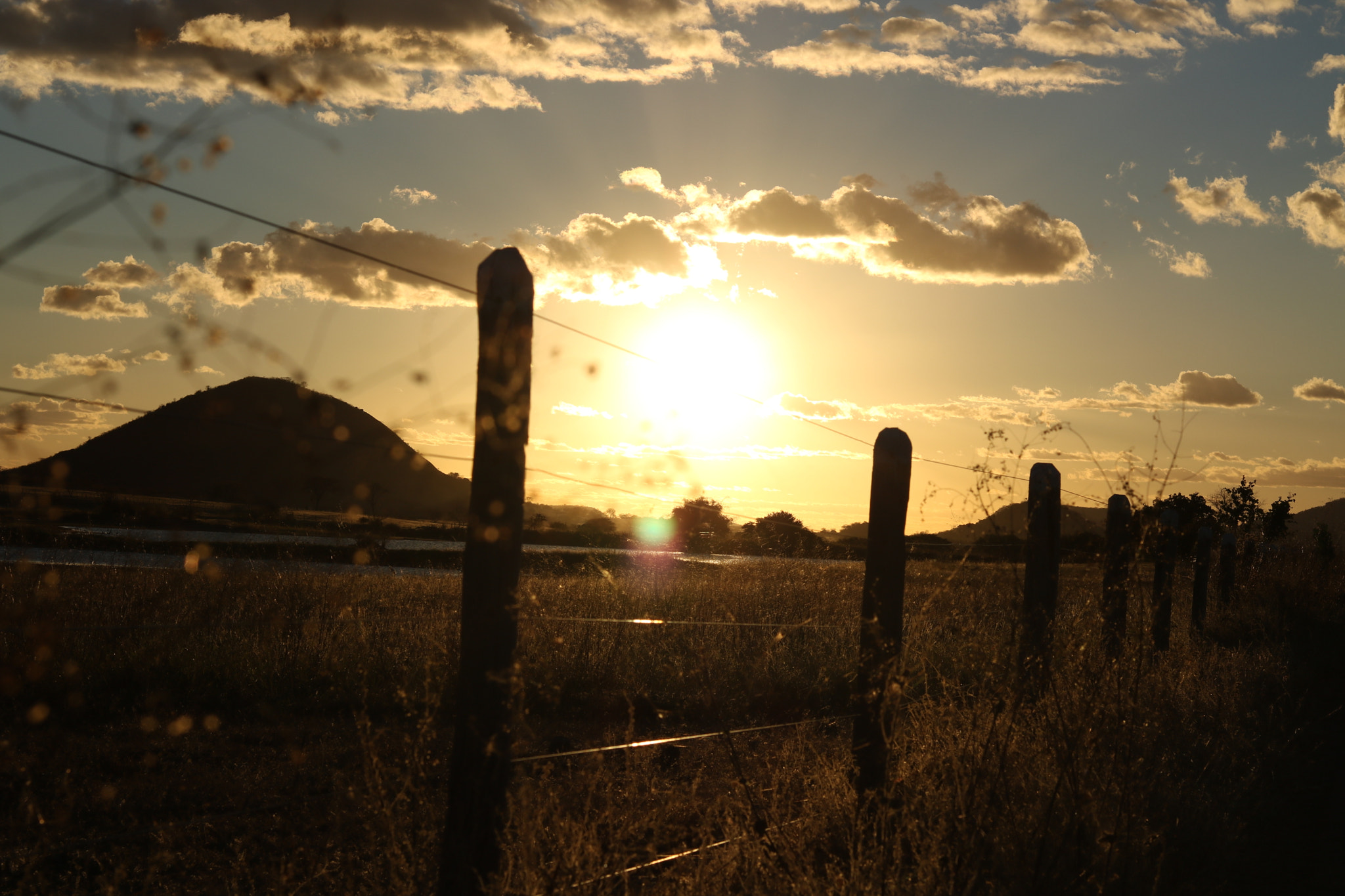 Canon EOS 760D (EOS Rebel T6s / EOS 8000D) sample photo. Onde menos se espera! photography