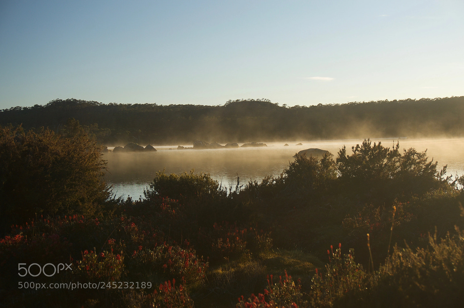 Sony Alpha NEX-6 sample photo. Misty morning photography