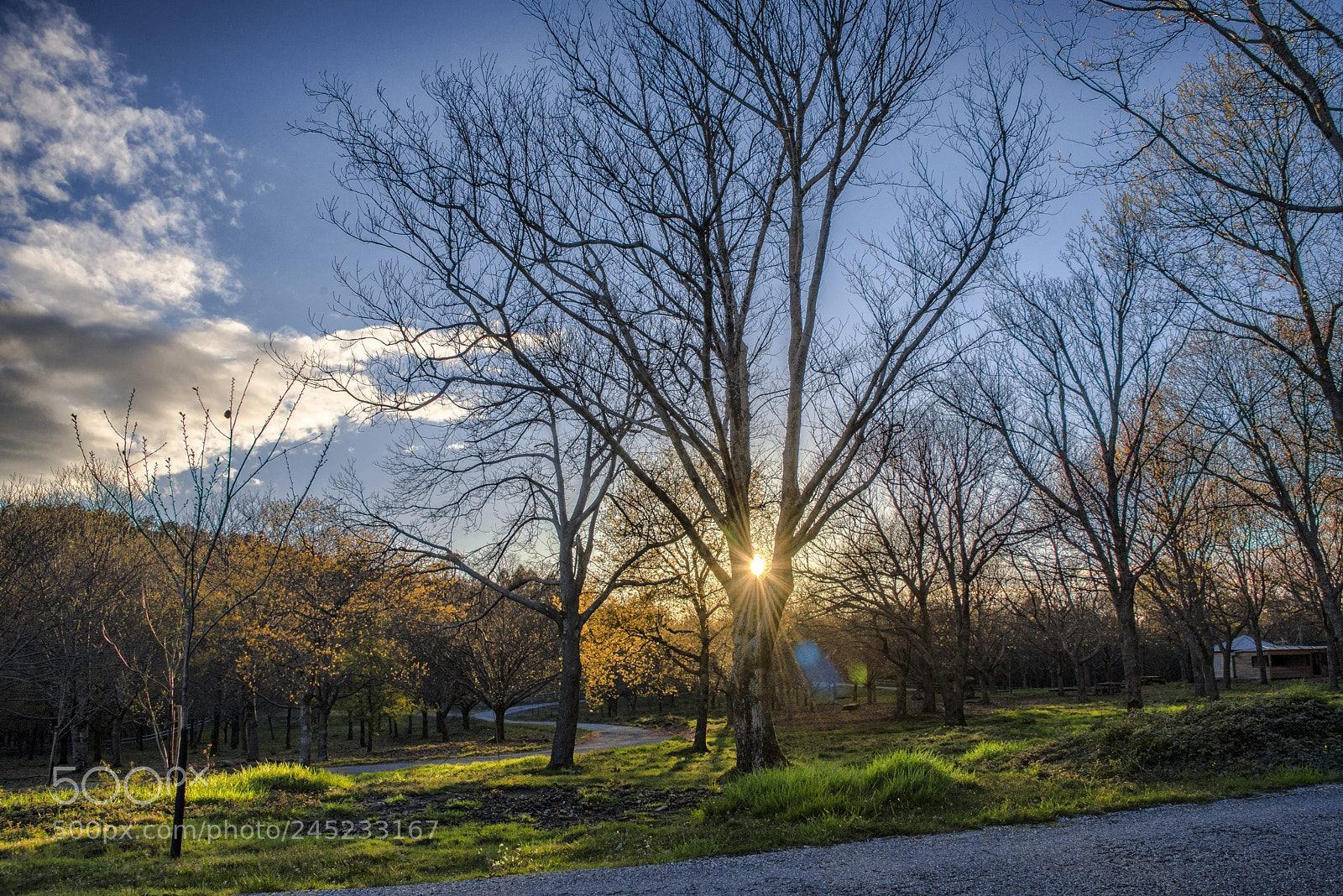 Nikon D600 sample photo. Monte xax n moa photography