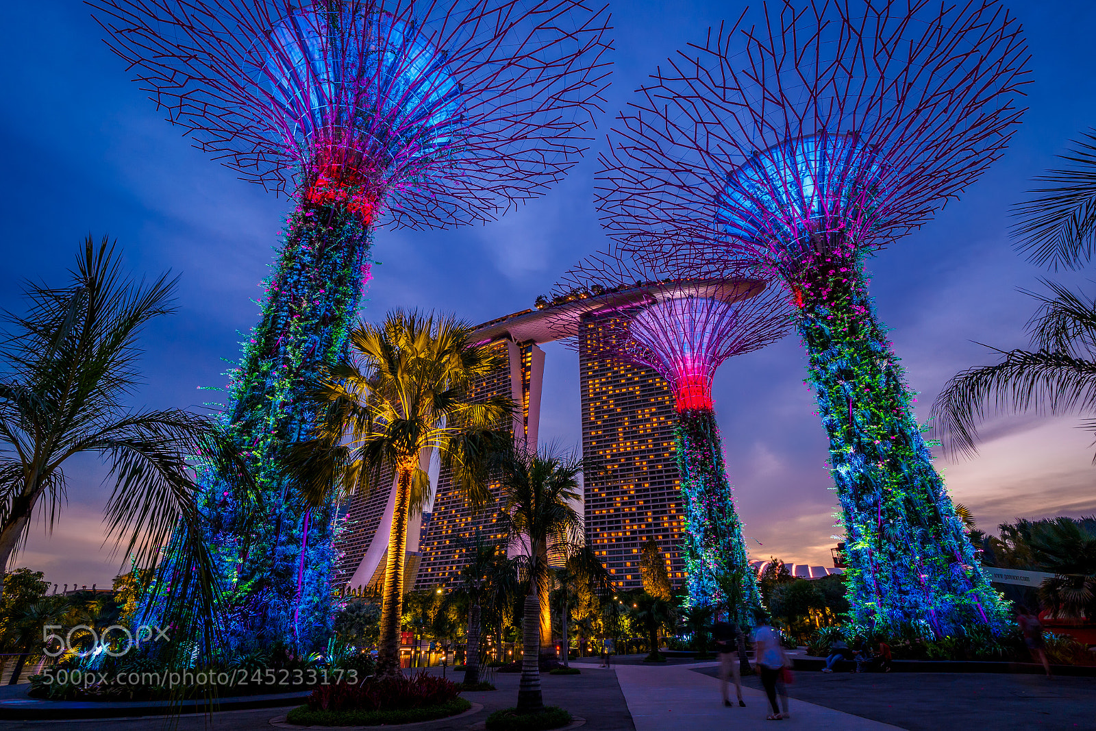 Olympus OM-D E-M1 Mark II sample photo. Supertrees photography