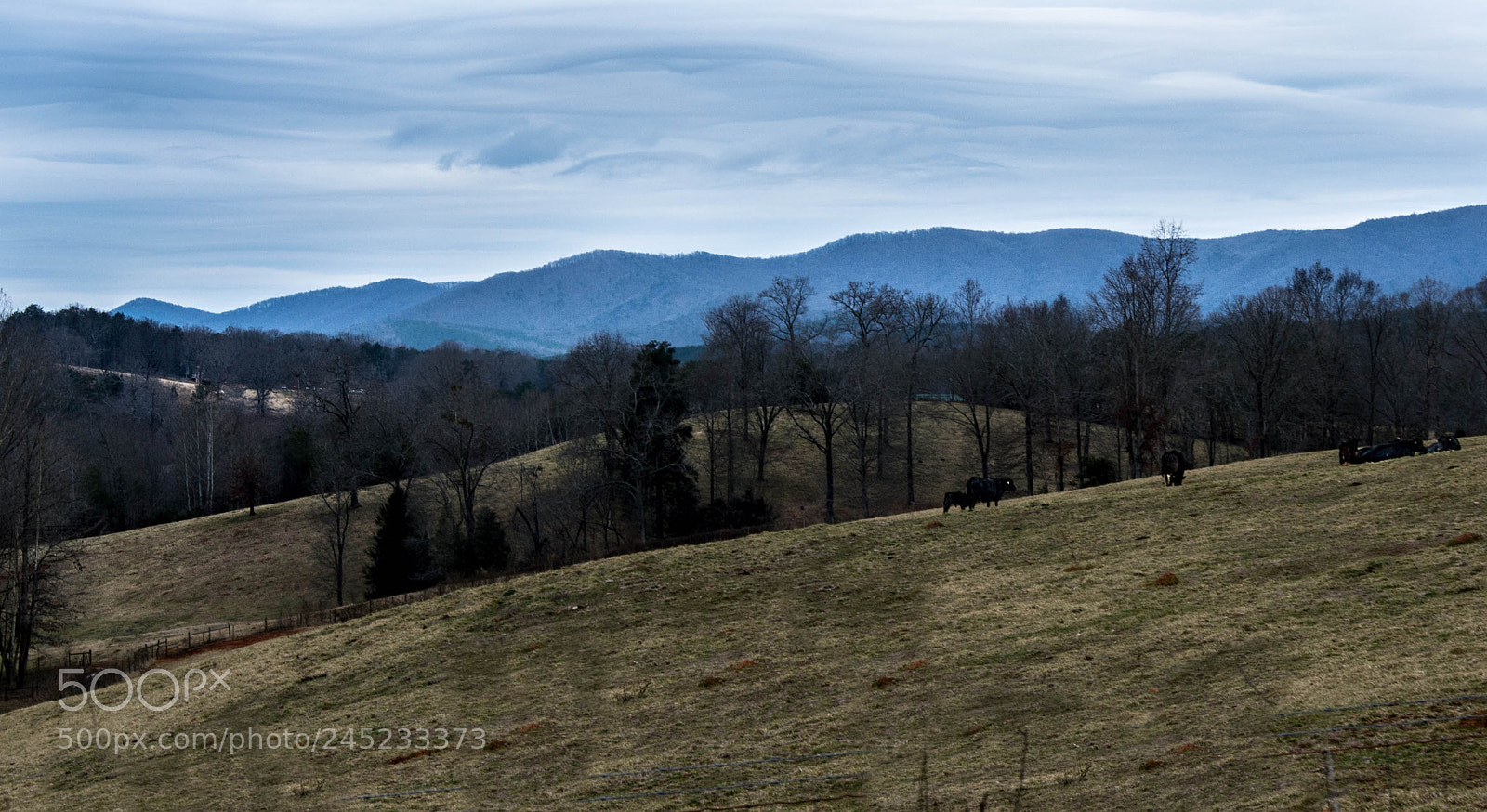 Nikon D5200 sample photo. North georgia photography