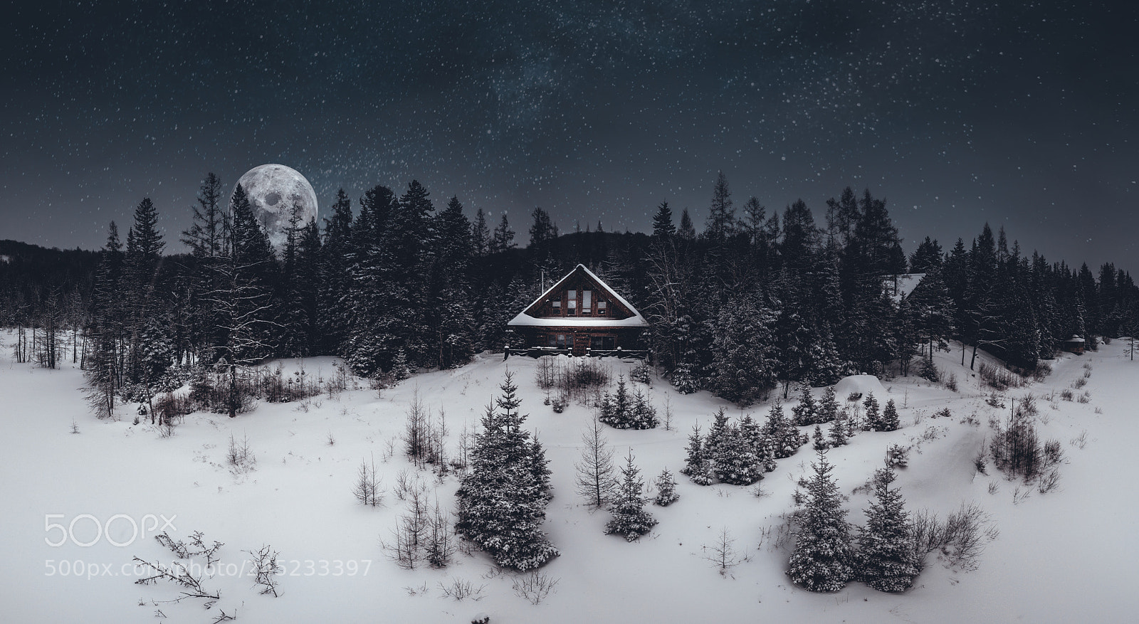 DJI FC220 sample photo. A moonlit getaway photography