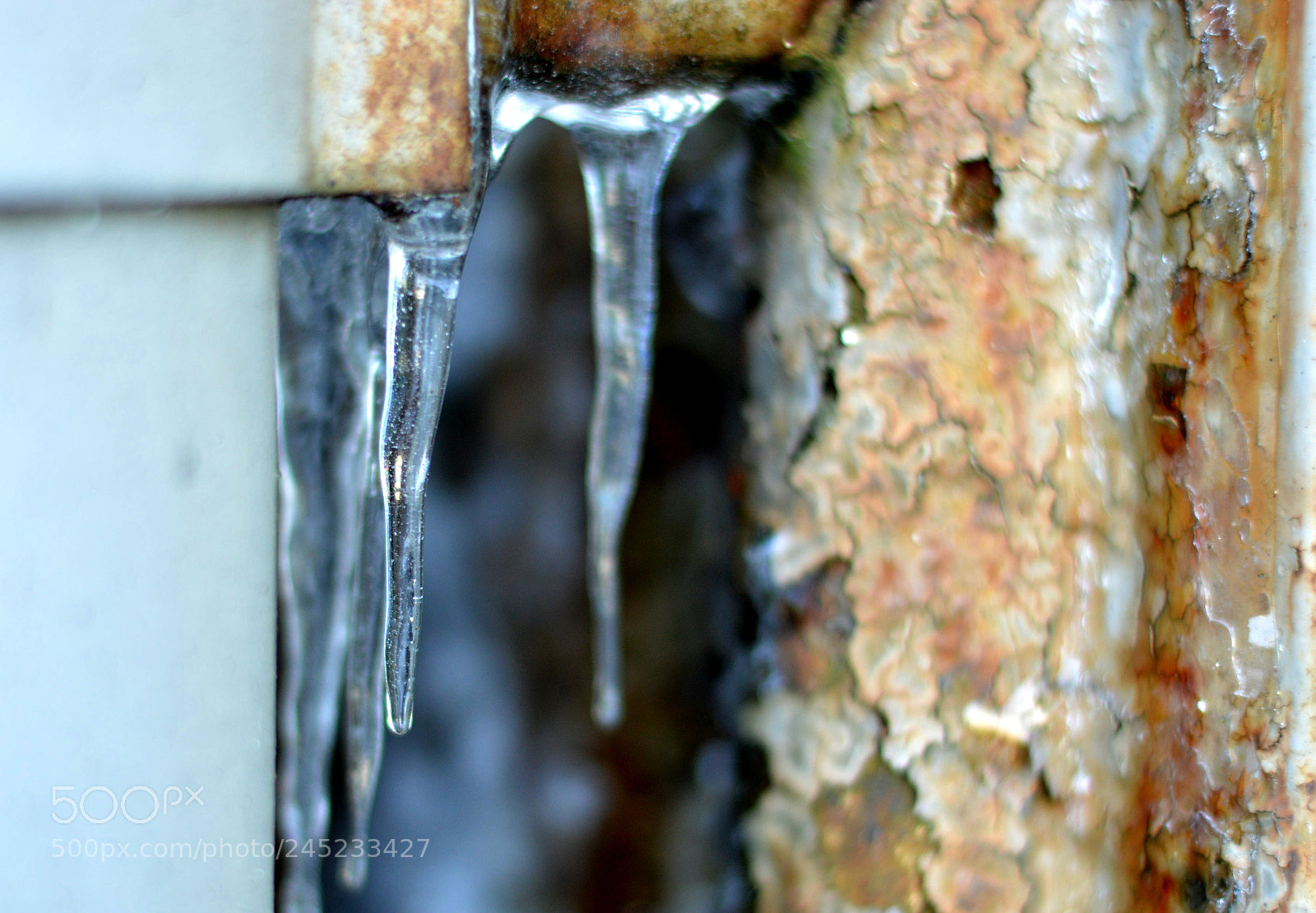 Nikon D3200 sample photo. Icicle 02 photography