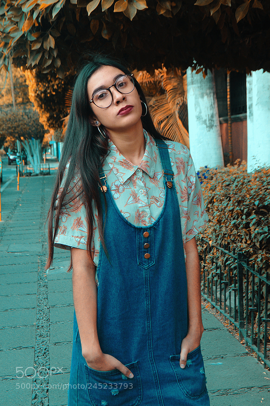 Nikon D5000 sample photo. Orange photography