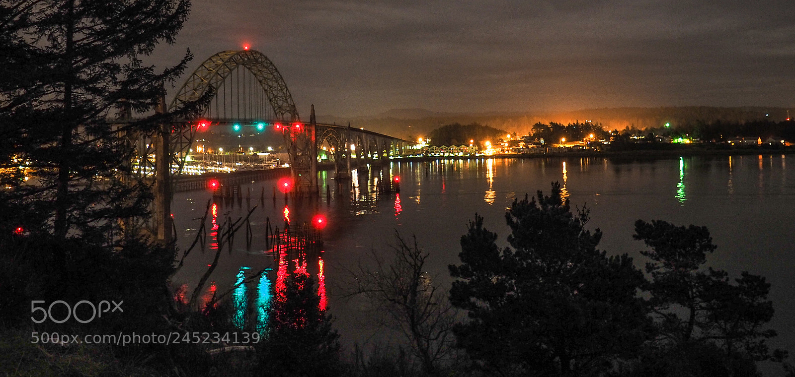 Olympus OM-D E-M5 II sample photo. Newport bridge from the photography