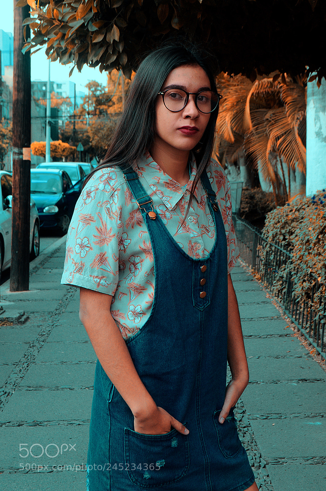 Nikon D5000 sample photo. Orange photography