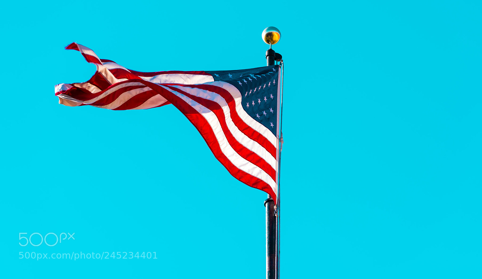 Nikon D750 sample photo. American flag waving on photography
