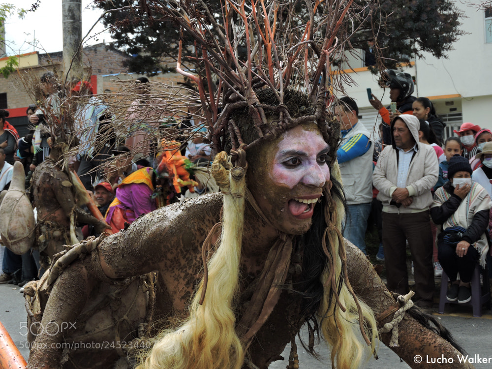Nikon Coolpix P600 sample photo. Mud man photography