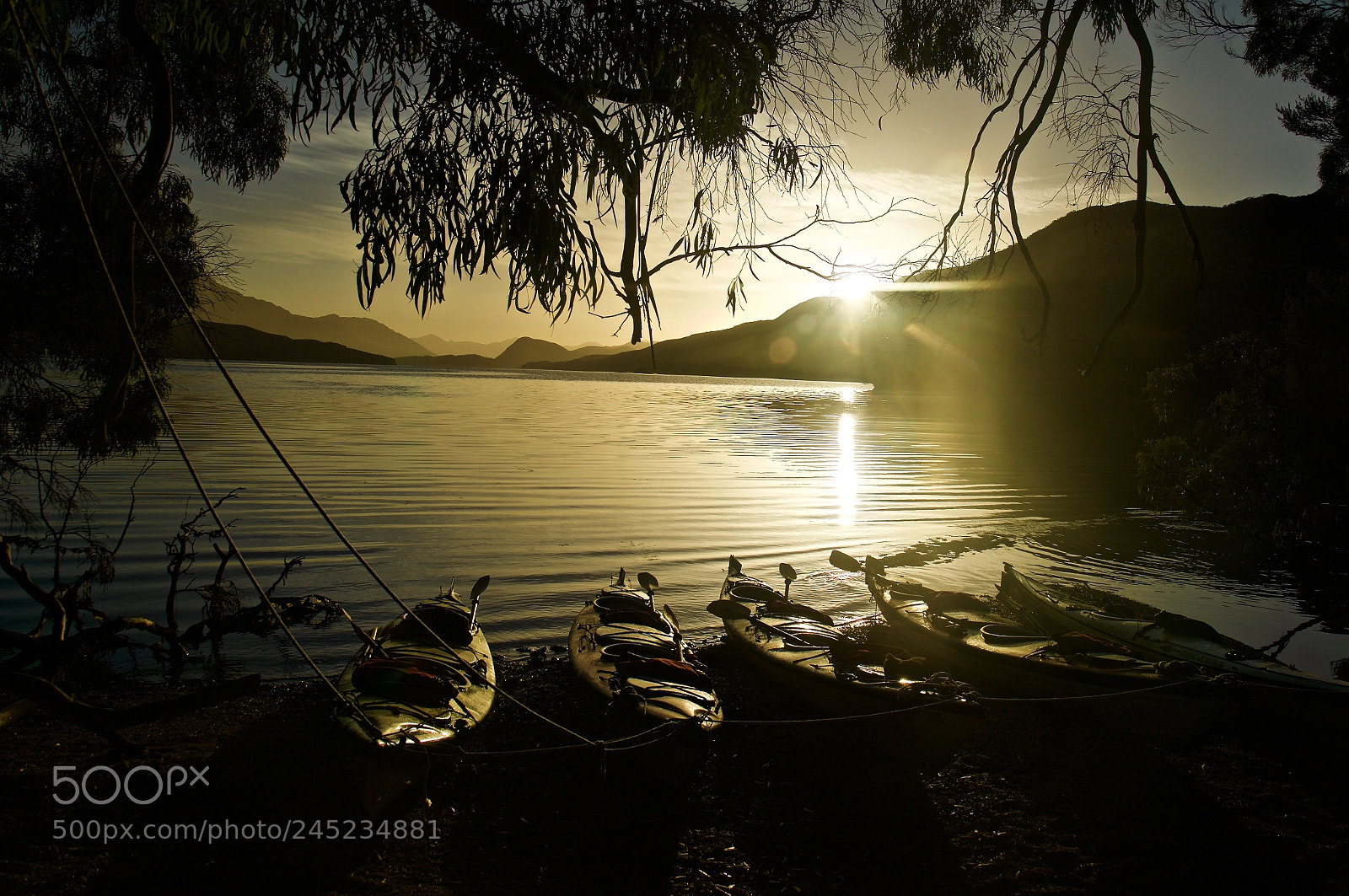 Sony Alpha NEX-6 sample photo. Sea kayaking port davey photography