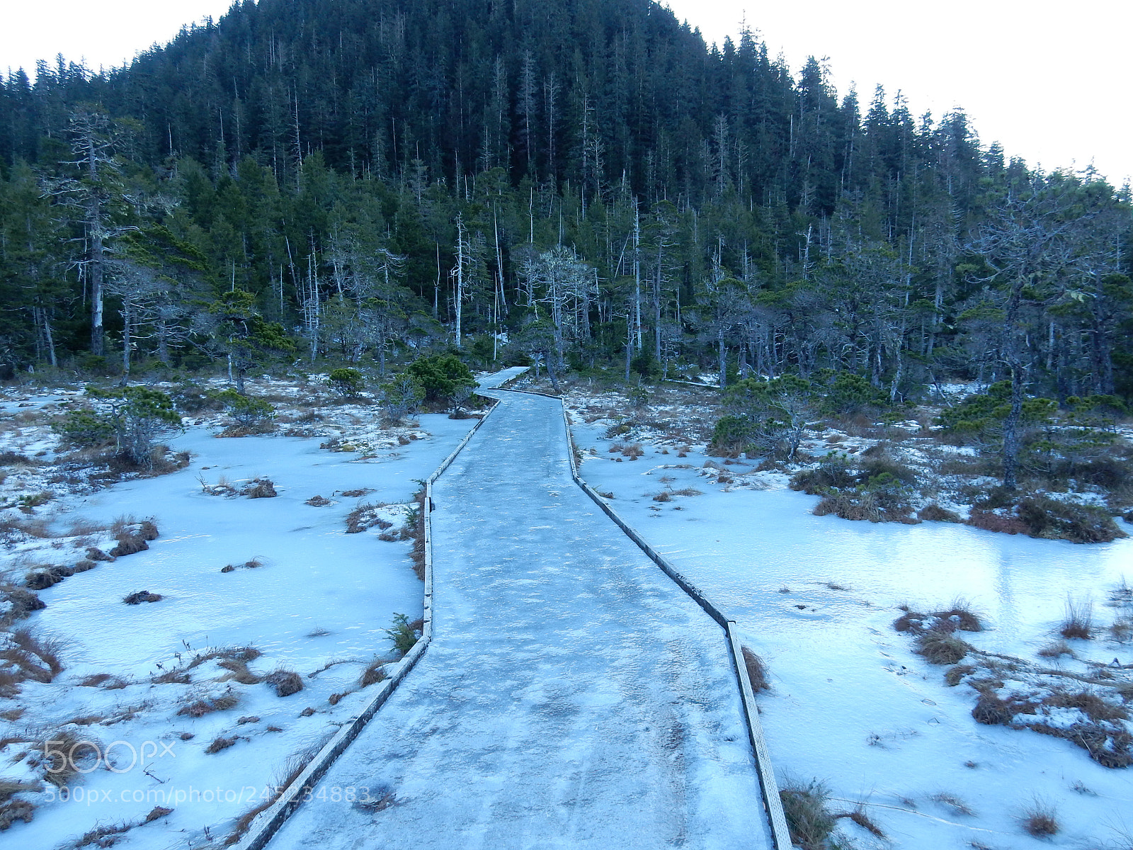 Nikon Coolpix S9900 sample photo. Icy path photography