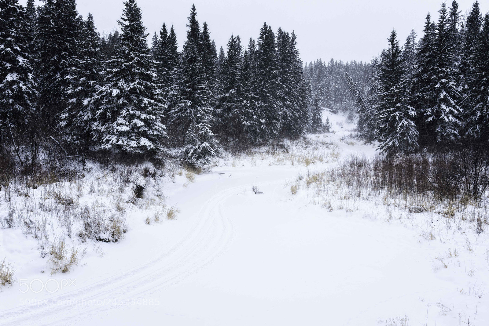 Nikon D600 sample photo. River vally (of ) photography