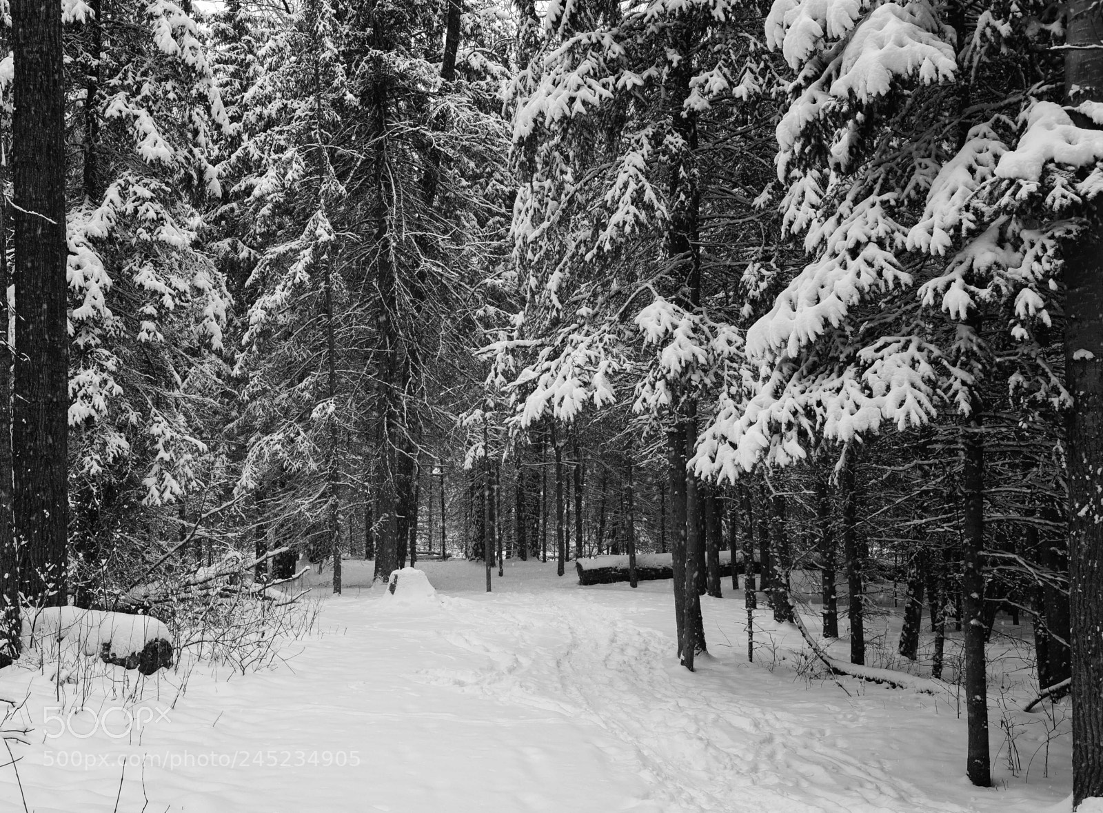 Nikon D600 sample photo. River vally (of ) photography