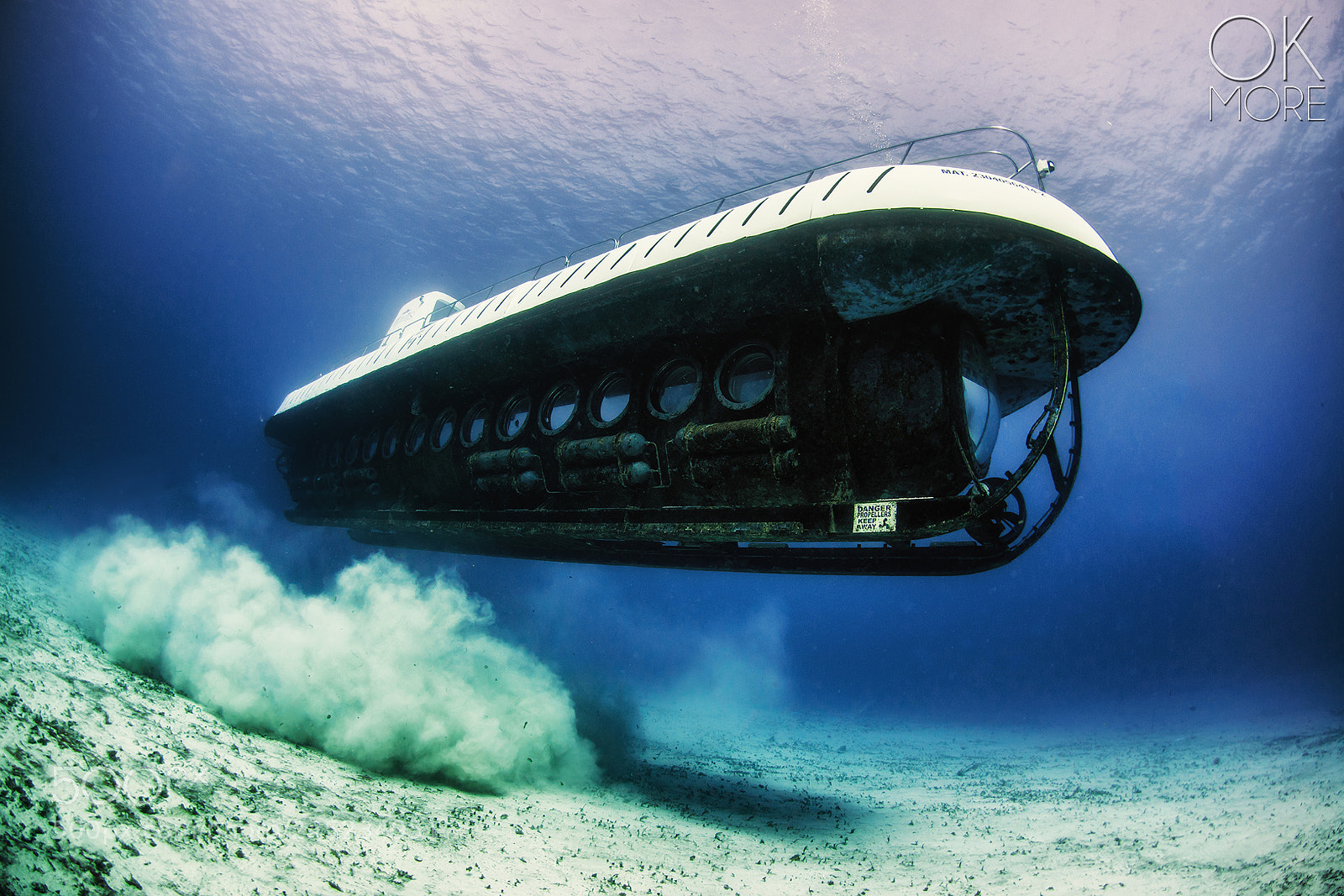 Nikon D800E sample photo. Submarine photography