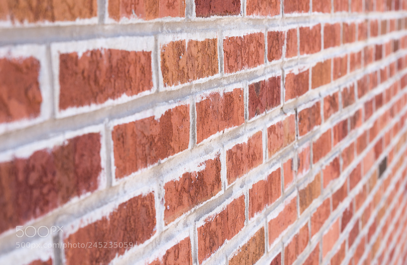Nikon D750 sample photo. Red brick wall close photography