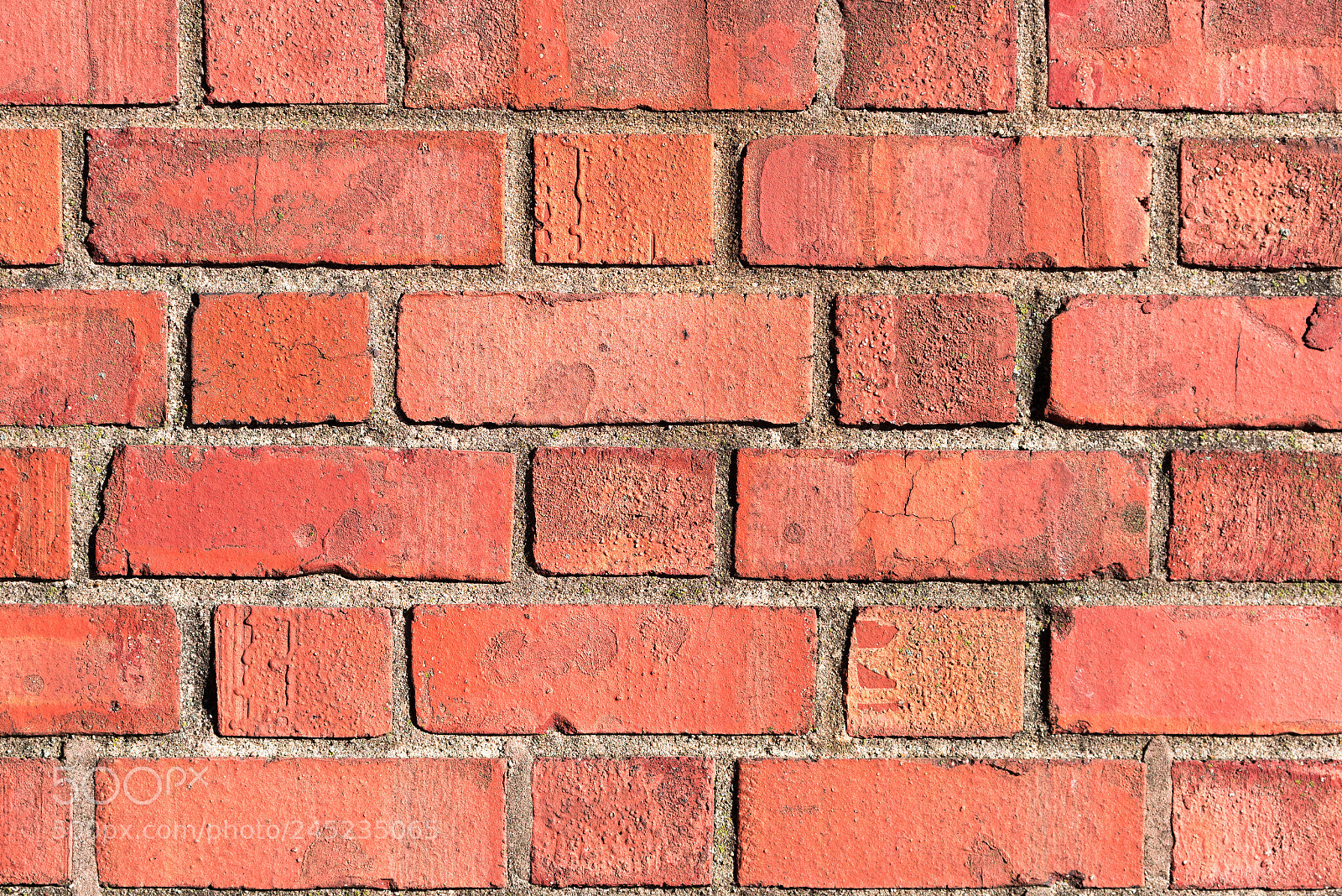 Nikon D750 sample photo. Red brick wall close photography
