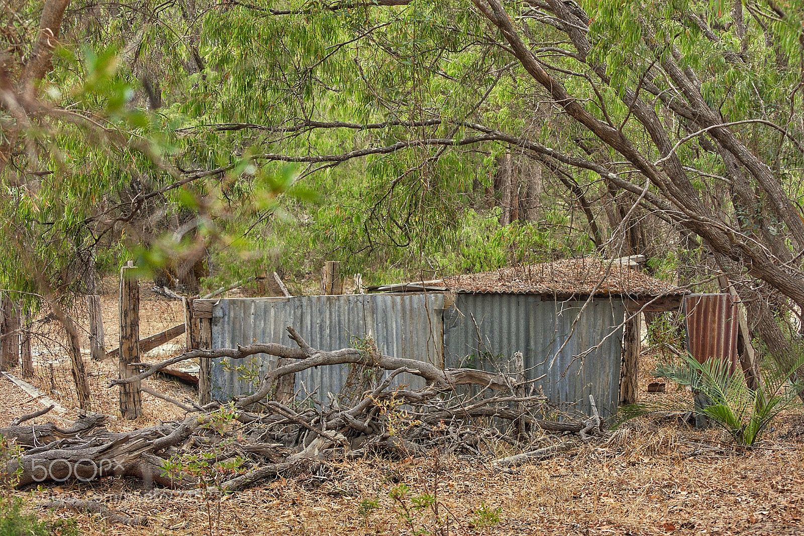 Pentax K100D sample photo. Shed photography