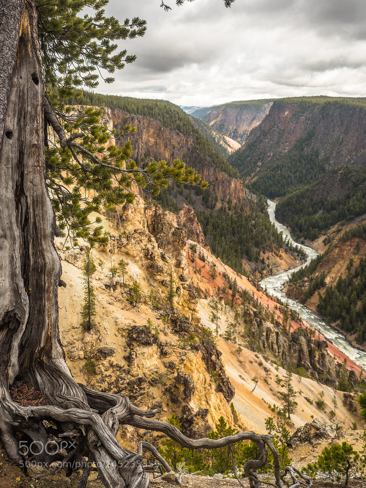 Olympus OM-D E-M5 II sample photo. The heights of yellowstone photography