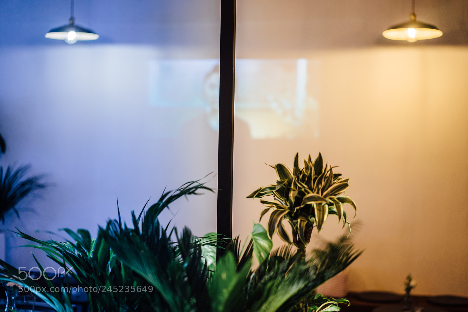 Sony a7 II sample photo. Untitled photography